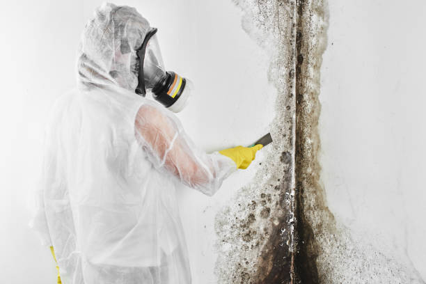 Best Air Quality Testing for Mold Spores  in Grapevine, TX